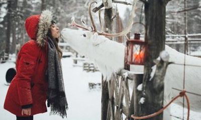 Rovaniemi Reindeer Adventure: 500m Sleigh Ride