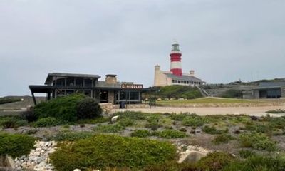 4 Day Garden Route Tour from Port Elizabeth to Cape Town