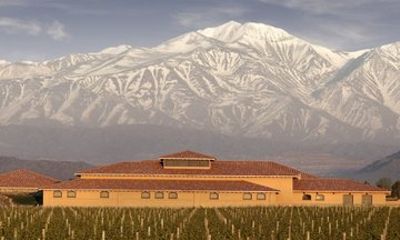 Mendoza Boutique Winery with Lunch and Olive Grove