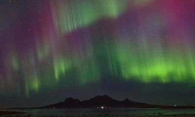 Aurora Moments Guided Northern Lights Tour in Bodø