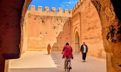 Taroudant Half Day Tour and Goat Tree Visit