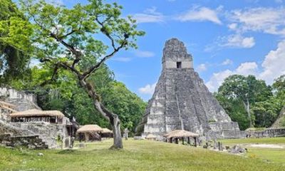 Tikal National Park Guided Tour from Flores All-Inclusive