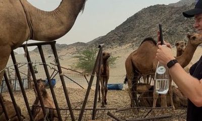 Jeddah Desert Camel and Quad Tour