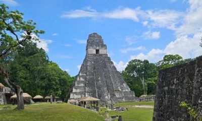 Day Trip to Tikal with Lunch from Flores