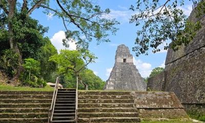 Day Trip to Tikal from Flores