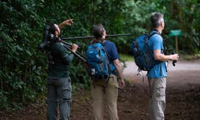 A full Day of BirdWatchin in Monteverde Entrance Included