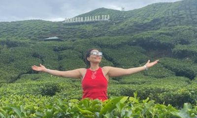 Cameron Highlands Private Tour Full Day From Kuala Lumpur