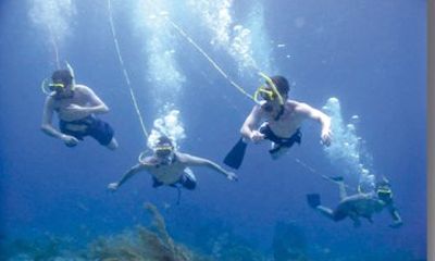 Private Catamaran Adventure in Punta Cana with Diving