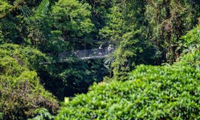 New Britt Chocolate Tour & Mistico Hanging Bridges with Transport