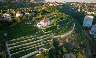 Prague Private Wine Tour