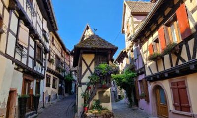 Authentic Alsace 4 villages Wine Route from Colmar