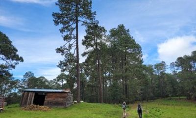 2 Days Sierra Norte Cloud Forest Adventure