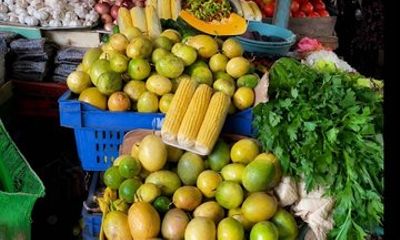 City tour flavors and Dominican culture in Punta Cana