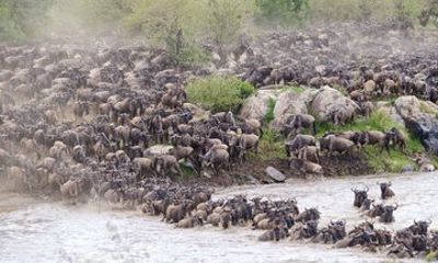 6 Days Budget Wildlife and Cultural Tour in Northern Zone