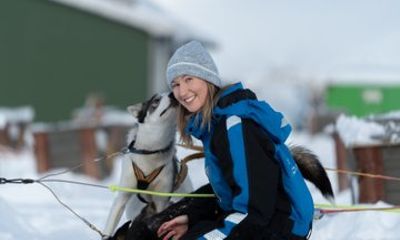 Easy Dog Sledding Tour and Kennel Visit from Tromsø