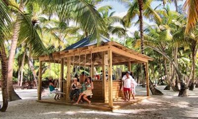 Excursion to Saona Island And Catalina Island