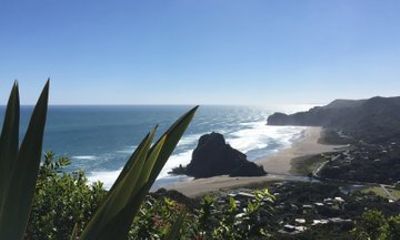 Piha Beach, Waterfall and Rainforest Tour from Auckland