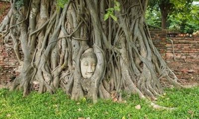 Floating Market and Ayutthaya Temples Combo Tour from Bangkok