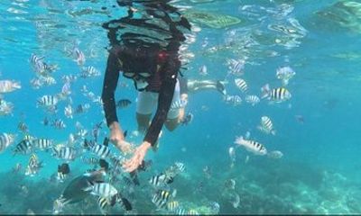 Nha Trang Half-Day Tour with Snorkeling and Seafoods