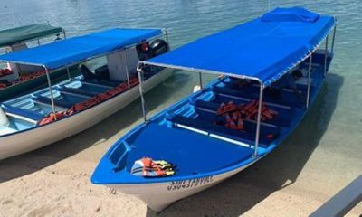 Tours Isla Espiritu Santo Balandra and sea lions
