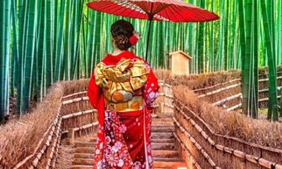 Kyoto Highlights Private Guided 10-Hour Tour from Osaka or Kyoto