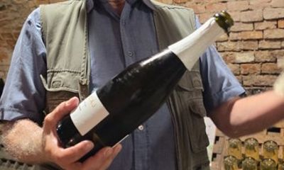 Sparkling Wine Tasting in a Small Family Winery