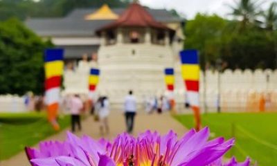 Private Kandy Sightseeing Tour by Kandy Safe Tours