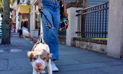 3 Hour Guided Photography Walk in Charleston