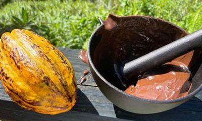 St Lucia Chocolate and Coffee Making Tour Experience