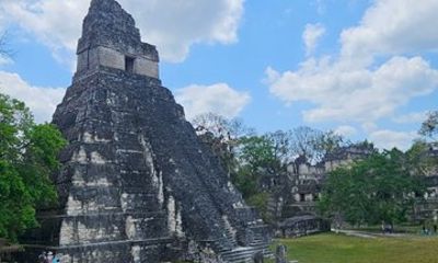 Full Day Tour to Tikal in Small Group from Flores