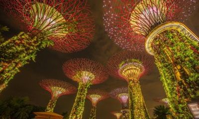 Gardens by the Bay Entry tickets with Parks Options
