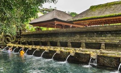 Ubud Private Tour with Rice Terrace Swing Temple Balinese Culture
