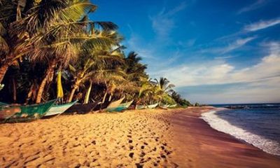 6 Days and 5 Nights Discover Sri Lanka