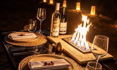 Private Dinner Under the Stars in the Atacama Desert