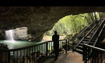 Rainforests and Waterfalls Tour from Gold Coast
