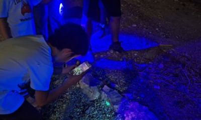 Starlight Scorpion Search Night Hike