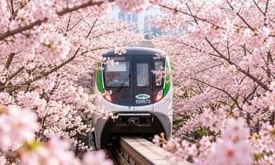 7 Hour Private Car Tour of Chongqing Eling Park
