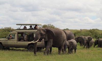 Full Day Tsavo East Safari from Mombasa with Lunch