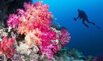 Fantastic Snorkeling Tour with Seafood Mini Beach and Mun Island