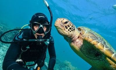 Learn to Dive on the Great Barrier Reef