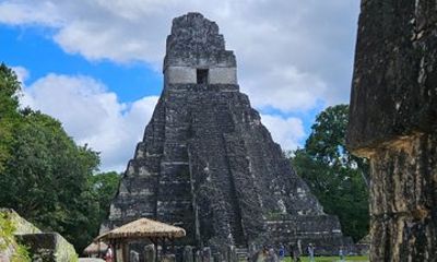 Private Tour to Tikal from Flores
