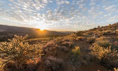 Red Rock Canyon, Hoover Dam and Ghost Town Tour from Las Vegas