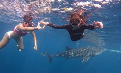Private Oslob Whale Shark Tour with Tumalog Falls and Meals