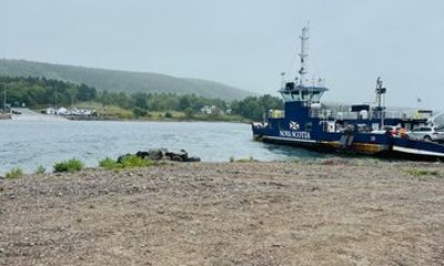 Mini Cabot Trail Tour (St Anns Loop) - 4 Hour Adventure