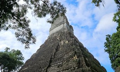 Maya Experience in Tikal Shared Tour from Flores Guatemala