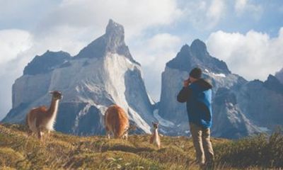Punta Arenas Full Day Torres del Paine Milodon Cave