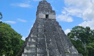 Tikal Classic Tour from Flores, Guatemala All-Inclusive