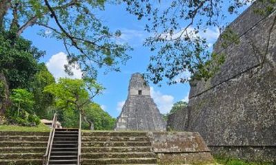 Classic Private Tour of Tikal from Flores Guatemala