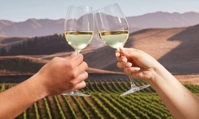 Afternoon of Wine