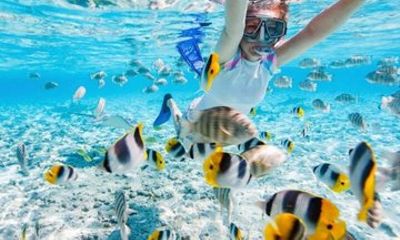 Nha Trang Bay Mun Island Snorkeling Tour with Lunch